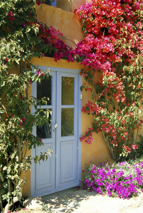 gallery 1437765871 gettyimages 172330285 Thiết kế nhà xinh với cổng nhà bằng cây và hoa leo