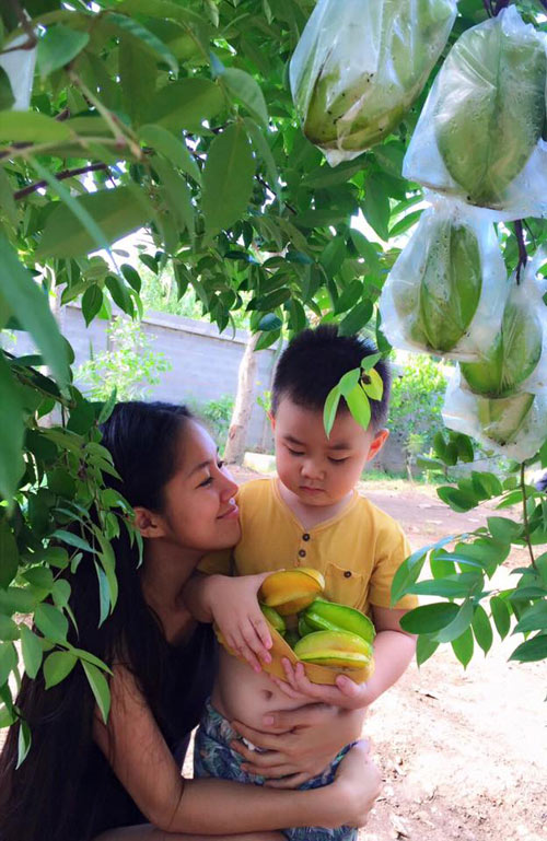 1457949370 12 Cùng nhìn qua vườn rau trái cả nhà ăn không hết của diễn viên Lê Phương