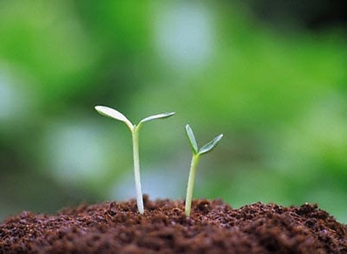 xem boi so dien thoai thay ban biet cach bat dau moi thu Xem bói số điện thoại: Ý nghĩa từng con số