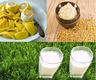Quên kem trộn đi, muốn trắng như bông bưởi hãy dùng cách tự nhiên, lành tính này - Ảnh 1. quen kem tron di muon trang nhu bong buoi hay dung cach tu nhien lanh tinh nay 1 Quên kem trộn đi, muốn trắng như bông bưởi thì hãy dùng cách tự nhiên, lành tính này